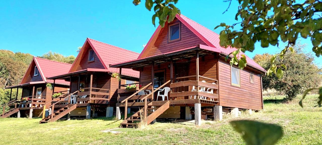 Pod Kasztanem Appartement Lubin  Buitenkant foto